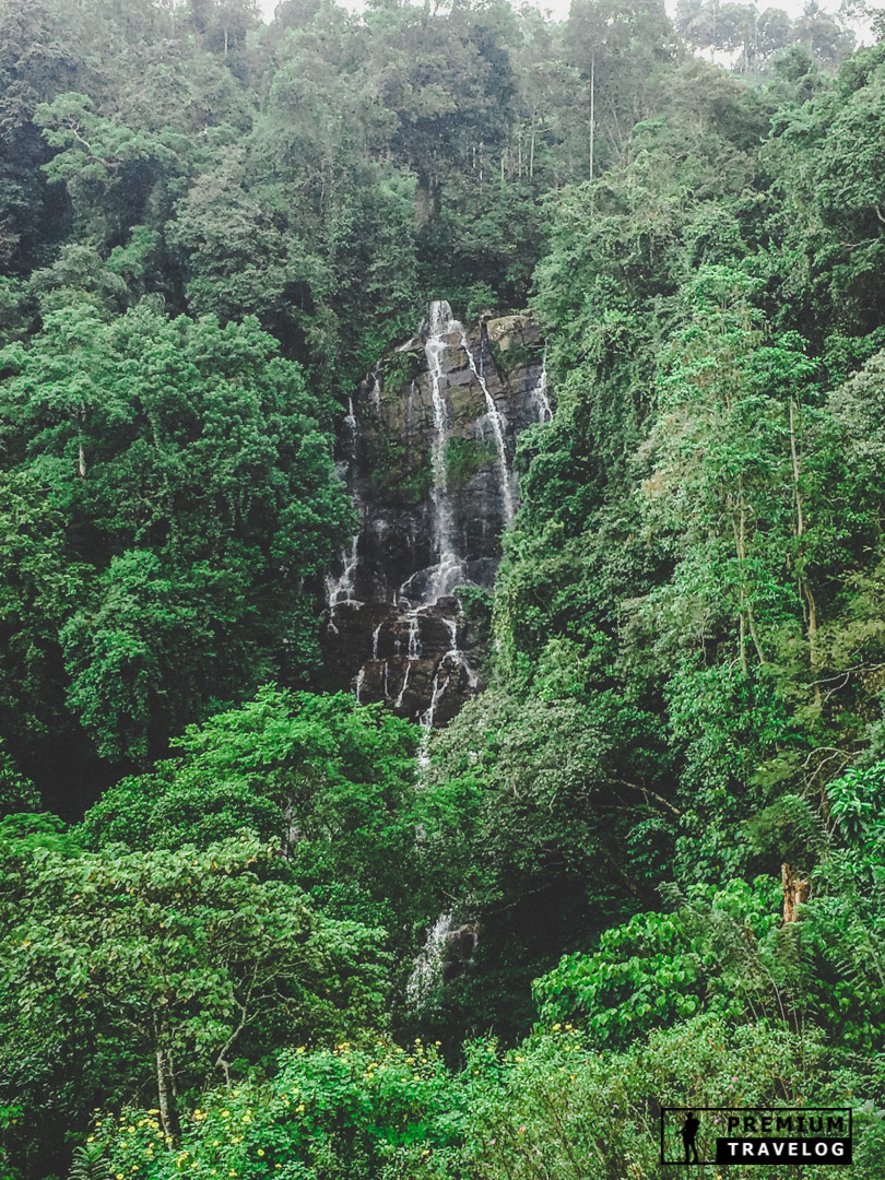 Devagiri Ella Falls (Diyangiri Ella) in Dedugala - Premium Travelog