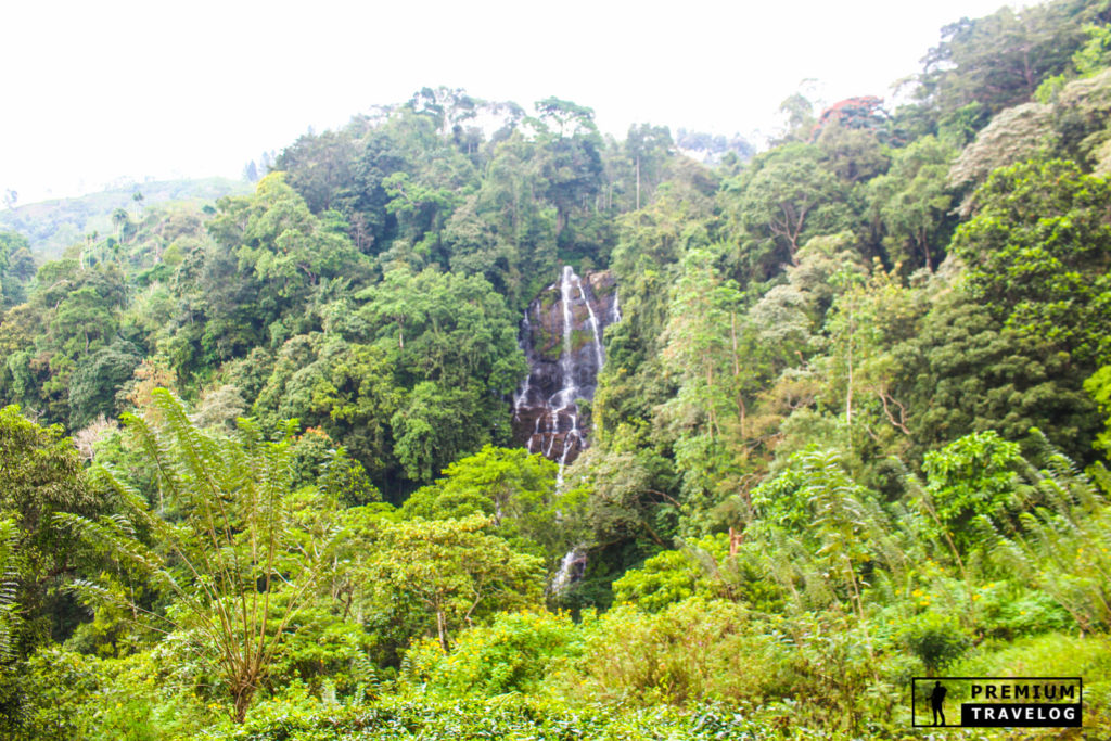 Devagiri Ella Falls (Diyangiri Ella) in Dedugala, Kegalle