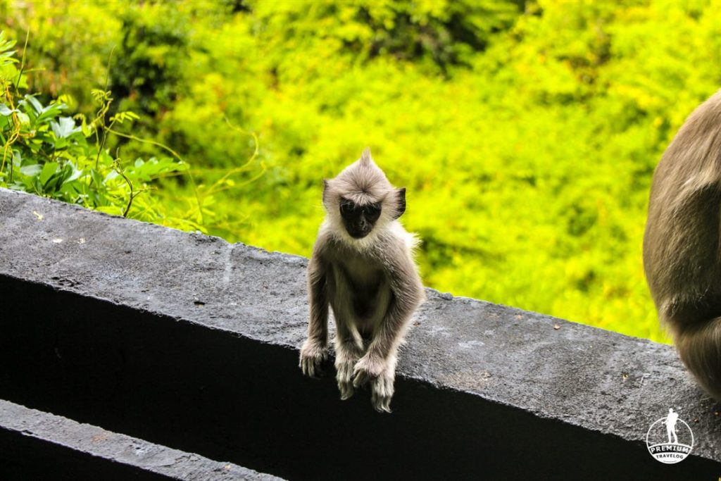 heritance kandalama, Dambulla 