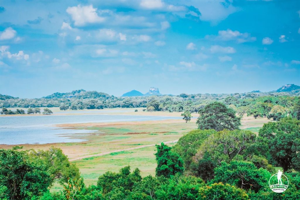 heritance kandalama, Dambulla 