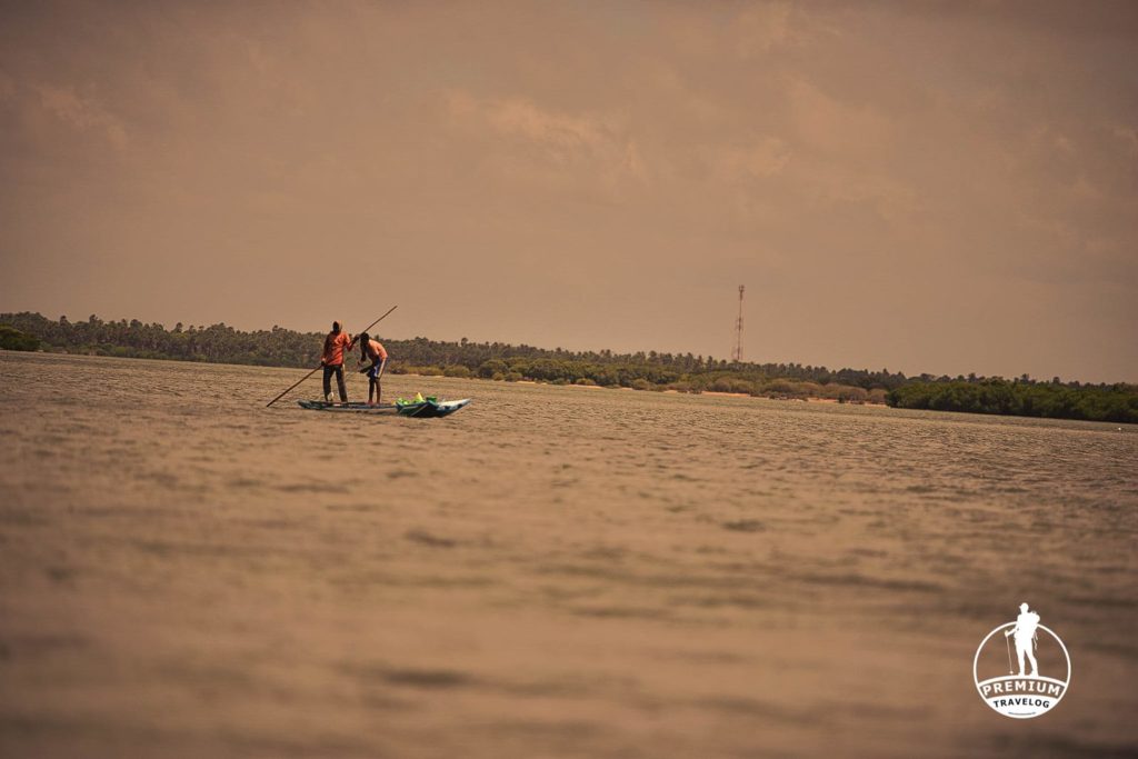 Kalpitiya Bird Paradise, Kalpitiya, Birdwatching, Bird,  Kalpitiya Peninsul, Hotels in Kalpitiya,horizon kitesurfing beach resort   