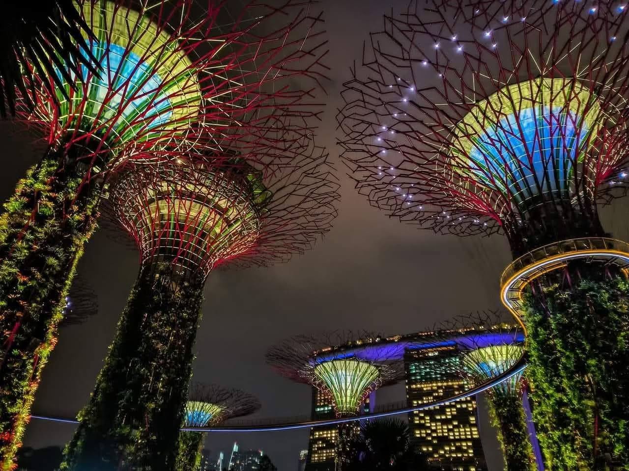 Close-up night view looking up at illuminated Supertrees during the Garden Rhapsody light show at Gardens by the Bay